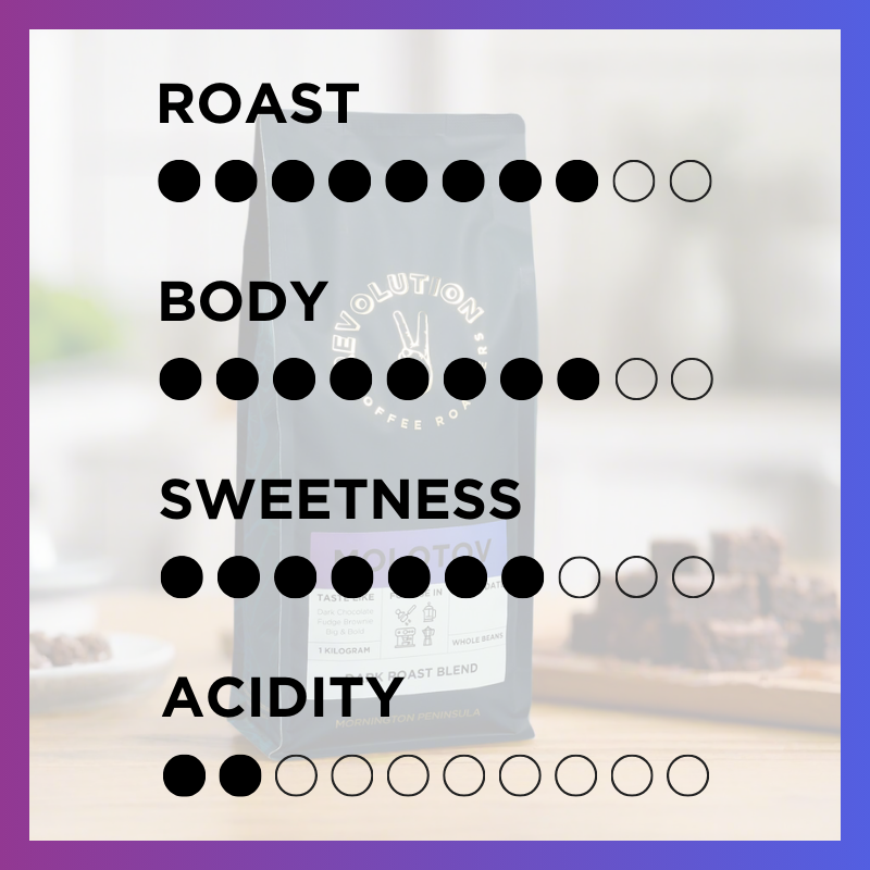 MOLOTOV // Dark Roast Blend